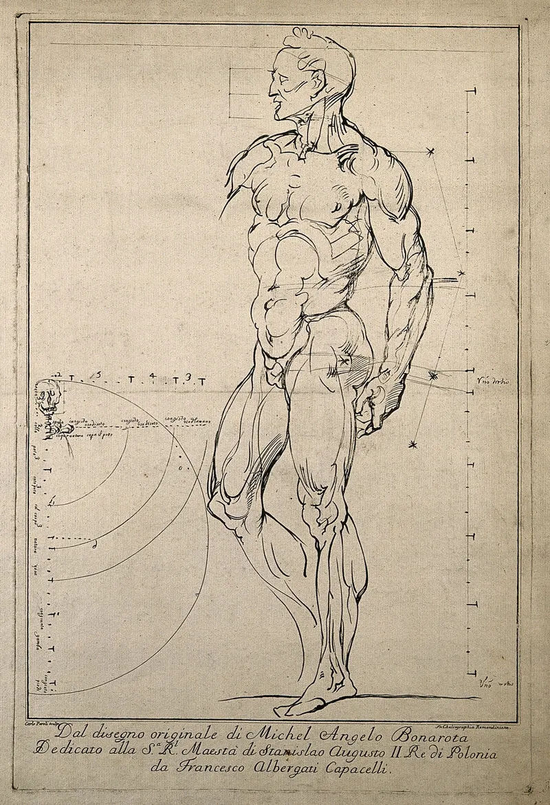 Engraving after Michelangelo of a standing figure with its muscles drawn